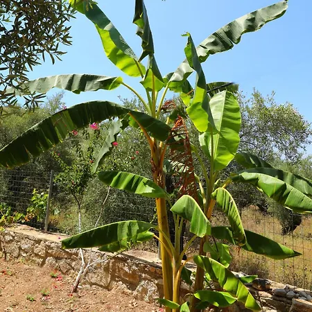 Mezzanine Bay בית הארחה הימארה