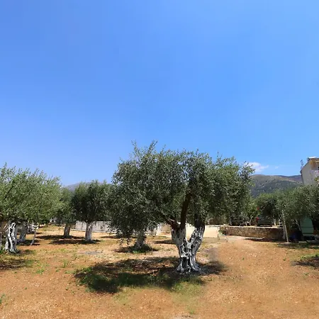 Konukevi Mezzanine Bay Himarë
