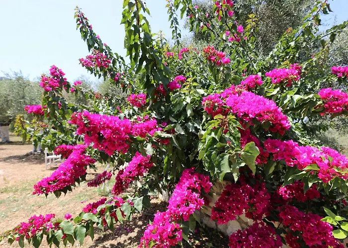 Mezzanine Bay Guest house 3*