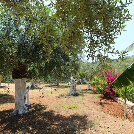 Pensión Mezzanine Bay 3*