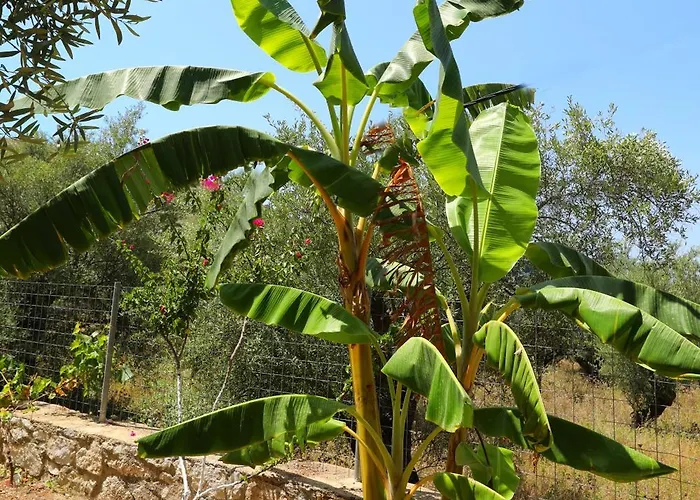 Mezzanine Bay Pensión Himarë