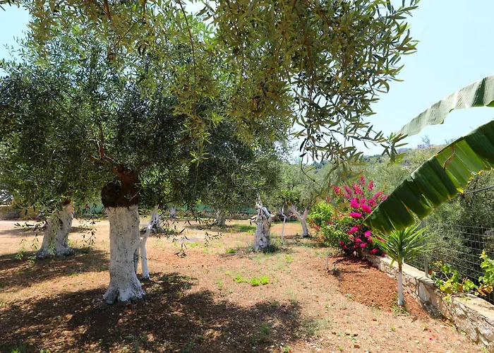 Pensión Mezzanine Bay 3*